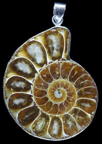 Fossil Ammonite Pendant - Million Years Old #89836